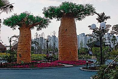 类孢子生物演化动作游戏《怪奇种子》新预告放出 即将推出试玩版